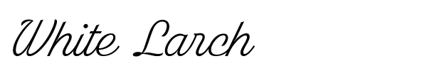 Шрифт White Larch