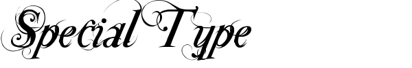 Шрифт Special Type