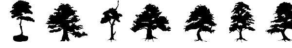 Шрифт Subikto Tree
