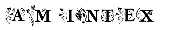 AM Intex font preview