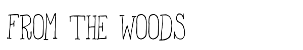 Шрифт From the Woods