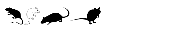 Шрифт Rats